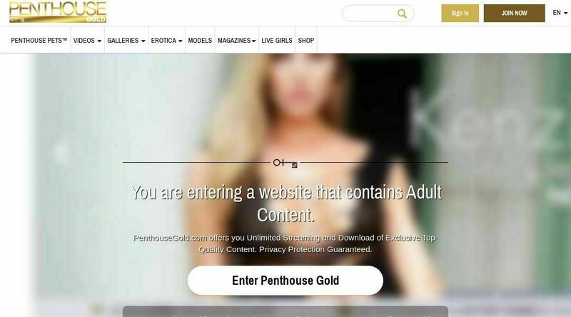 Penthouse Gold screenshot