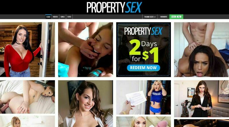 Property Sex screenshot