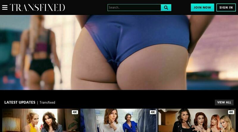 Transfixed screenshot